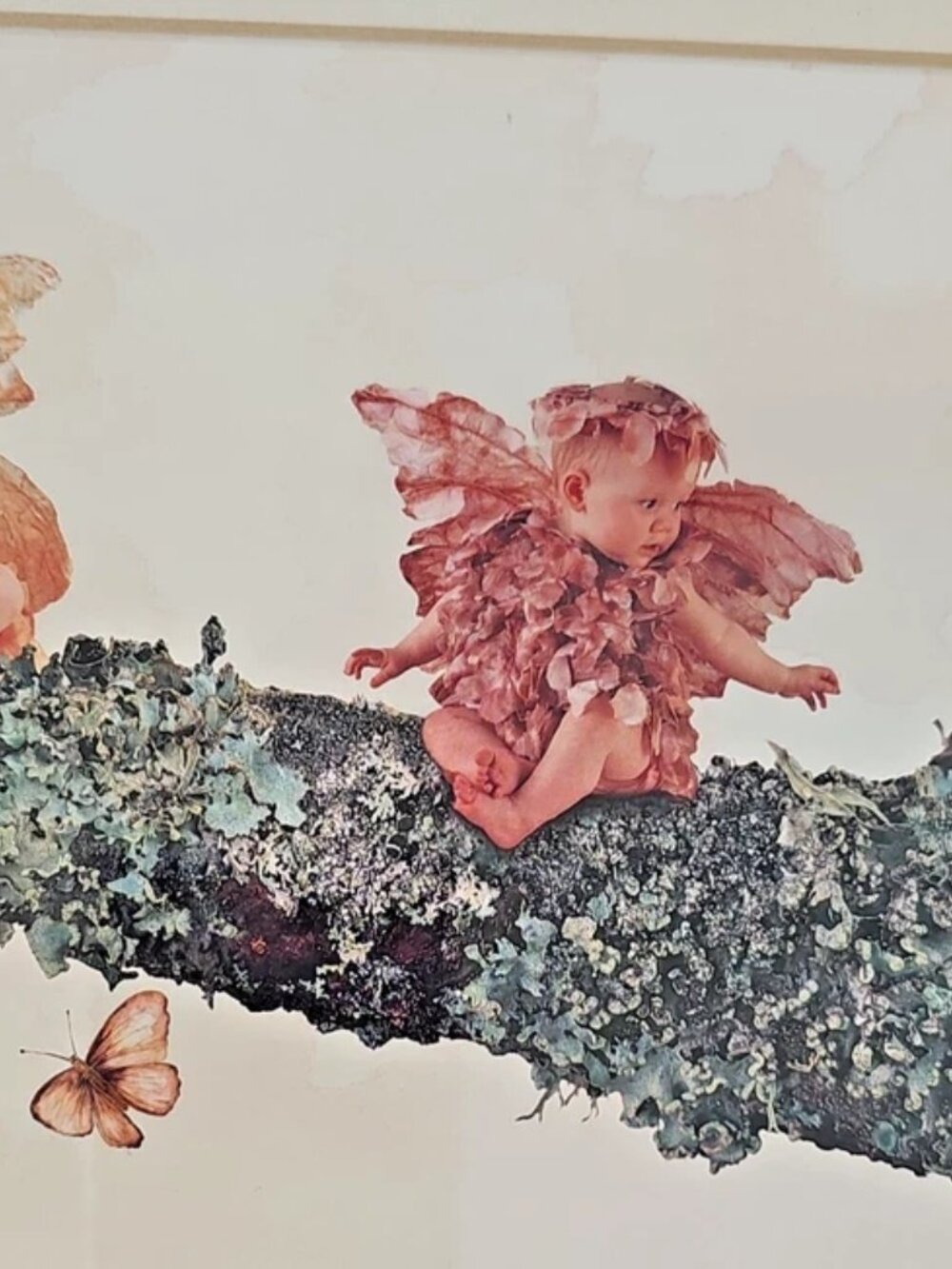 "Fairies" Lithograph Print by Anne Geddes, Framed / Print is 10" x 20" Vintage - Picture 5 of 8